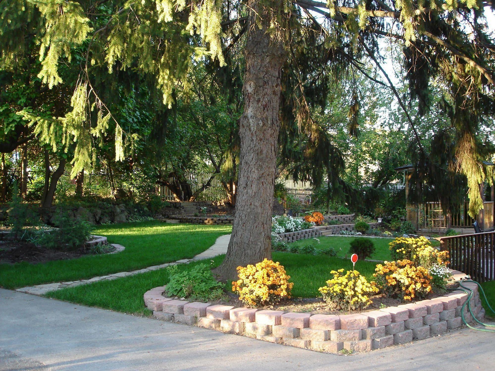 Susan's 4*
